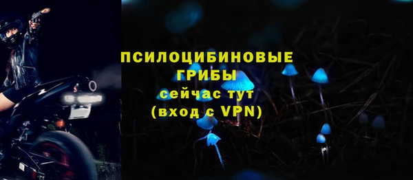 ПСИЛОЦИБИНОВЫЕ ГРИБЫ Николаевск-на-Амуре