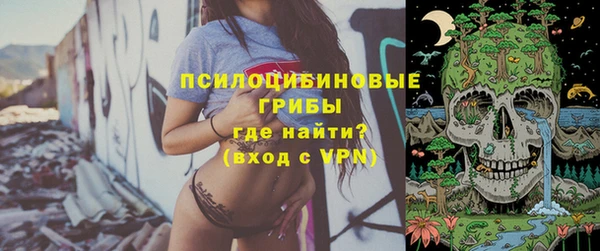 apvp Никольск