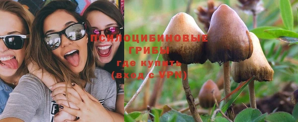 apvp Магас